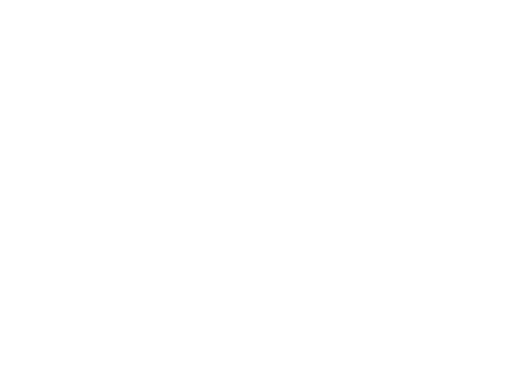 surftravelgear logo image